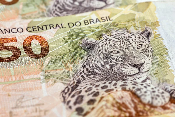 Деталі Реалів Банкноти Бразильського Ягуара Викарбувані Бразильській Банкноті Реалів — стокове фото