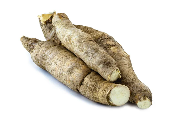 Cassava Brasil Uma Espécie Planta Tuberosa Família Euphorbiaceae Fundo Branco — Fotografia de Stock