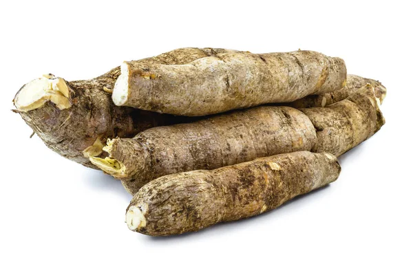 Yuca Brasileña Una Especie Planta Tuberosa Familia Euphorbiaceae Fondo Blanco — Foto de Stock