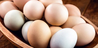 Yıkanmamış bir düzine Brezilya usulü tavuk yumurtası, çeşitli şekillerde, renkte ve boyutlarda...