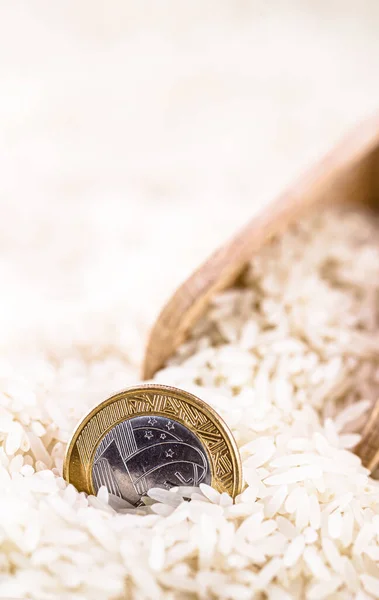 one brazilian real coin on a large pile of white rice, Brazilian agribusiness concept