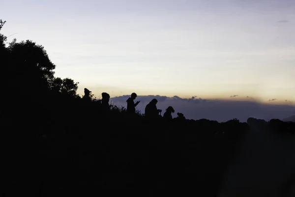 Silhouette group of teenager in early morning sunrise with natur — Stock Photo, Image