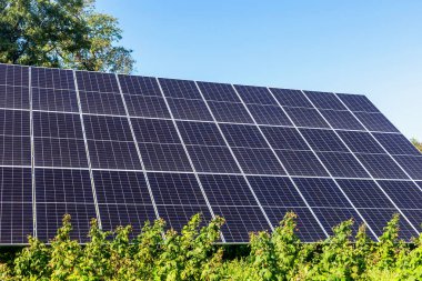 Güneş panelleri. Güneş panelleri parlak mavi gökyüzü altında güneş ışığını yakalıyor, tarım arazilerindeki yenilenebilir enerjinin entegrasyonunu vurguluyor