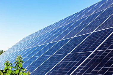 Güneş panelleri. Güneş panelleri güneş ışığını yansıtıyor ve yeşil ve açık mavi gökyüzü ile çevrili yenilenebilir enerji üretimine katkıda bulunuyor.