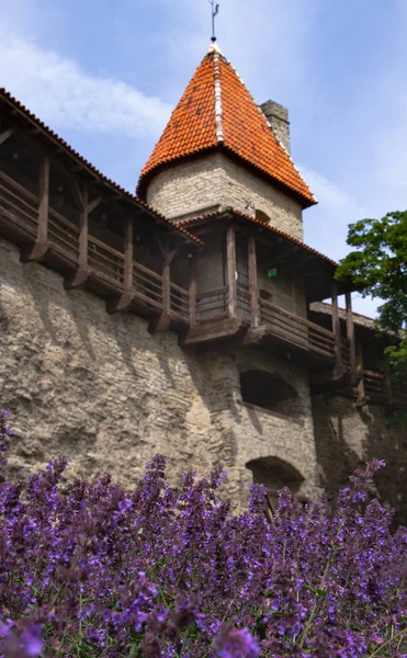 Taş duvarlarla Tallin eski şehir