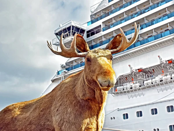 Nadívané Elk Před Výletní Loď Kristiansand Norsko — Stock fotografie