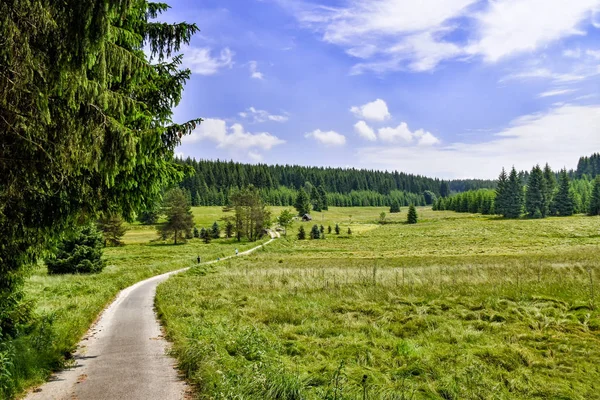 Romantikus Táj Schwarzwassertal Erzgebirge Szászországban Németország — Stock Fotó