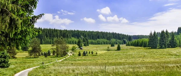 Romantisch Landschap Het Schwarzwassertal Zwarte Water Vallei Het Ertsgebergte Saksen — Stockfoto