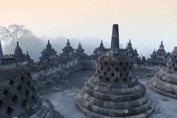 Borobudur Tapınağı Gizemler orman şafakta, Yogyakarta, Endonezya çevreleyen ile 