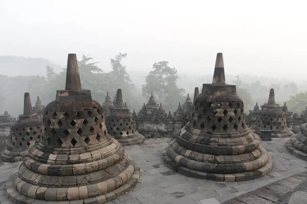 Borobudur Tapınağı Gizemler orman şafakta, Yogyakarta, Endonezya çevreleyen ile