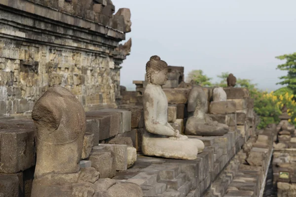 Borobudur Tapınağı Buda heykelleri ile