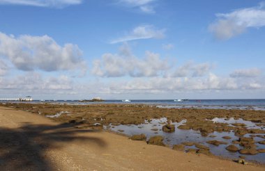 Seaside view of low tide at Tioman Island, Malaysia
