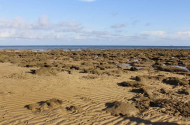 Seaside view of low tide at Tioman Island, Malaysia