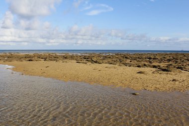 Seaside view of low tide at Tioman Island, Malaysia