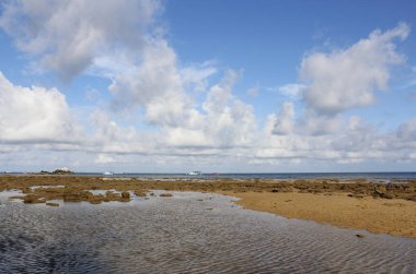 Seaside view of low tide at Tioman Island, Malaysia