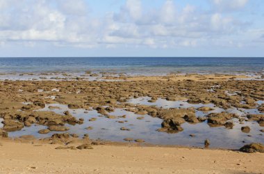 Seaside view of low tide at Tioman Island, Malaysia