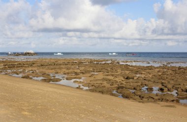 Seaside view of low tide at Tioman Island, Malaysia