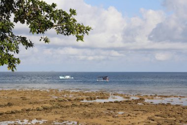 Seaside view of low tide at Tioman Island, Malaysia