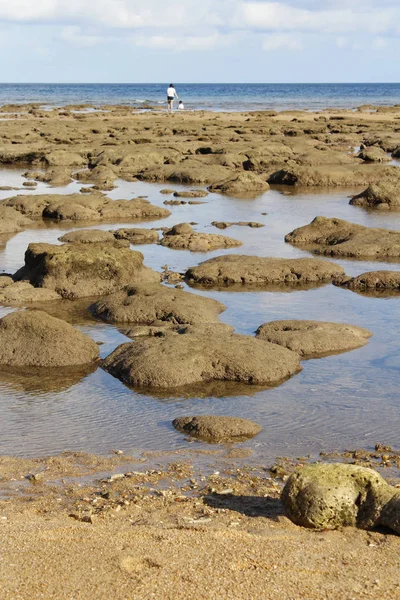 Seaside View Low Tide Tioman Island Malaysia — Stockfoto