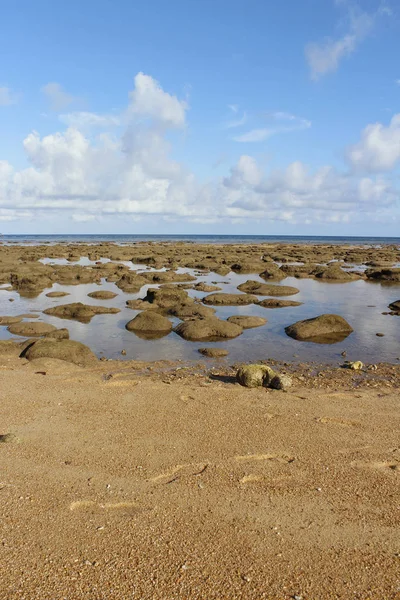 Seaside View Low Tide Tioman Island Malaysia — Stockfoto