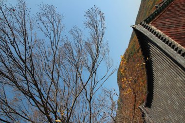 Sonbahar yaprakları, ağaç dalları ve geleneksel Kore çatıda mavi gökyüzü, Güney Kore