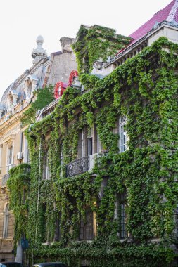 Bucharest, Romanya - 21 Nisan 2018: Eski ev Bükreş şehir merkezinde, Constantin Daniel sokak bitki örtüsü ile kaplı. Bükreş'in eski tam geç XIX yüzyıl binaları, Fransız mimarisi etkileri ile kıyılarındadır.