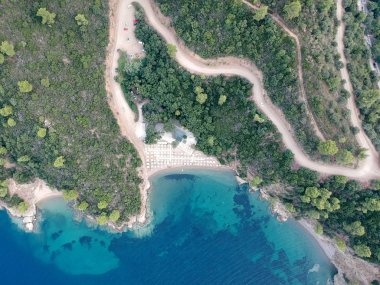 Çam ve parlak su ile bir plaj havadan görünümü