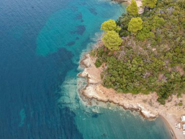 Parlak gezinti su ve plaj çam ormanı ile havadan görünümü.