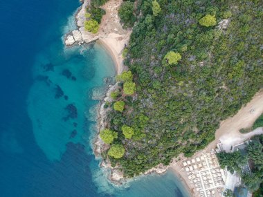 Parlak gezinti su ve plaj çam ormanı ile havadan görünümü.