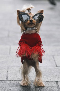 Paris, Fransa - 01 Mart 2019: Sokak stil kıyafeti - Evangelie köpek bir moda sonra süslü bir kıyafet giyen Smyrniotakia Paris moda haftası - Pfwfw19 göster