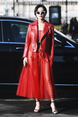Paris, Fransa-Şubat 27, 2019: sokak tarzı kıyafet-Paris moda haftası sırasında bir moda gösterisi sonra moda kişi-Pfwfw19