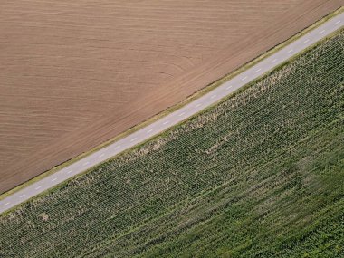 Romanya 'nın Dobrogea kentindeki tarım arazileri arasındaki köy yolu. Hava görünümü.