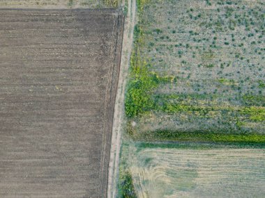 Romanya 'nın Dobrogea kentindeki tarım alanları. Hava görünümü.