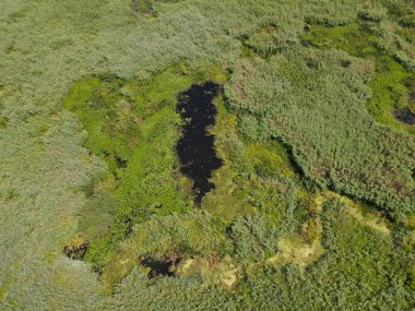 Romanya 'nın Dobrogea bölgesindeki Somova köyündeki Tuna Deltası. Hava görünümü.