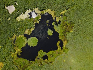 Romanya 'nın Dobrogea bölgesindeki Somova köyündeki Tuna Deltası. Hava görünümü.