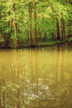 Montargis yerel parkta üzerinden akan Loing Nehri