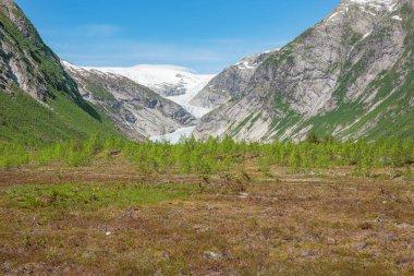 Uzak erişim yoldan gördün Nigardsbreen görünümünü