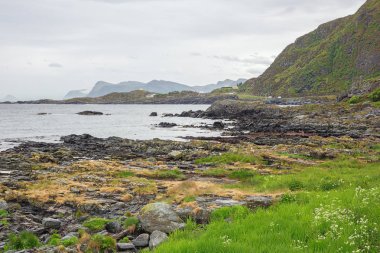 Goksoyr sahilde Runde Isle of