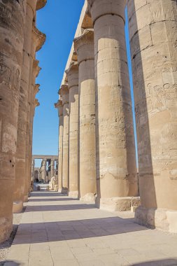 Luxor tapınağında Ramesses Ii mahkeme sütunlar
