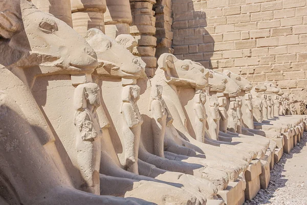 Primer Plano Las Esfinges Alineadas Dentro Del Templo Karnak —  Fotos de Stock
