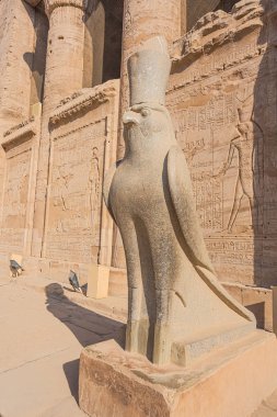 Edfu tapınağının girişinde Horus kuş heykeliyanında duran