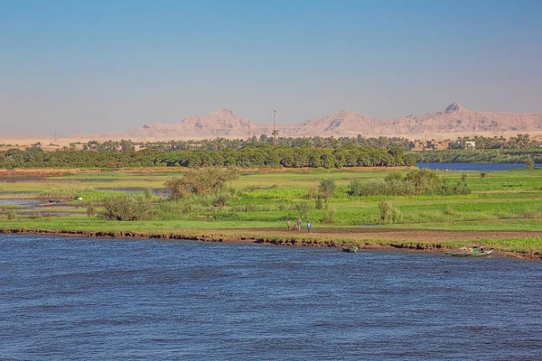 Agricultores Ilha Armant Sul Luxor Com Deserto Fundo — Fotografia de Stock