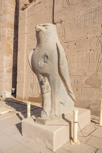 Estatua Ave Horus Entrada Del Templo Edfu —  Fotos de Stock