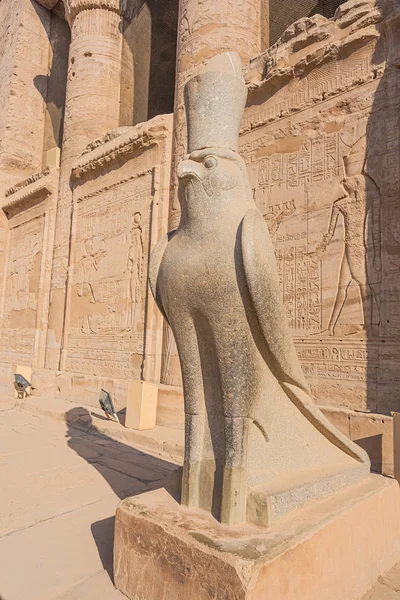 Pie Junto Estatua Horus Entrada Del Templo Edfu —  Fotos de Stock