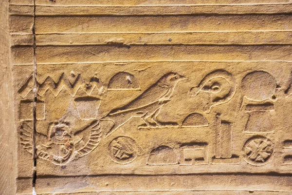 에드푸의 호루스 신전의 상형문자 — 스톡 사진