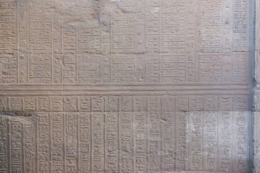 Kom Ombo Tapınağı'ndaki Mısır Takviminin Detayı