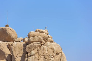 Agilkia adasının yanındaki adaletin tepesinde tüneyen bir leylek