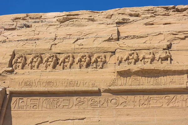 Babuinos Por Encima Entrada Del Gran Templo Abu Simbel —  Fotos de Stock