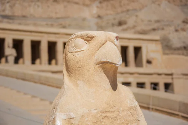 Estatua Horus Templo Hatshepsut Las Proximidades Luxor —  Fotos de Stock