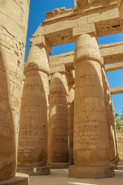 Karnak Tapınak Kompleksi'ndeki hipostil salonunda hieropgyphs ile sütunlar